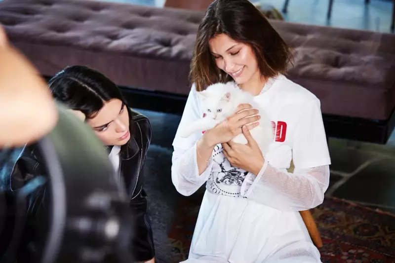 BEHIND THE SCENES: Bella Hadid lan Kendall Jenner pose karo anak kucing