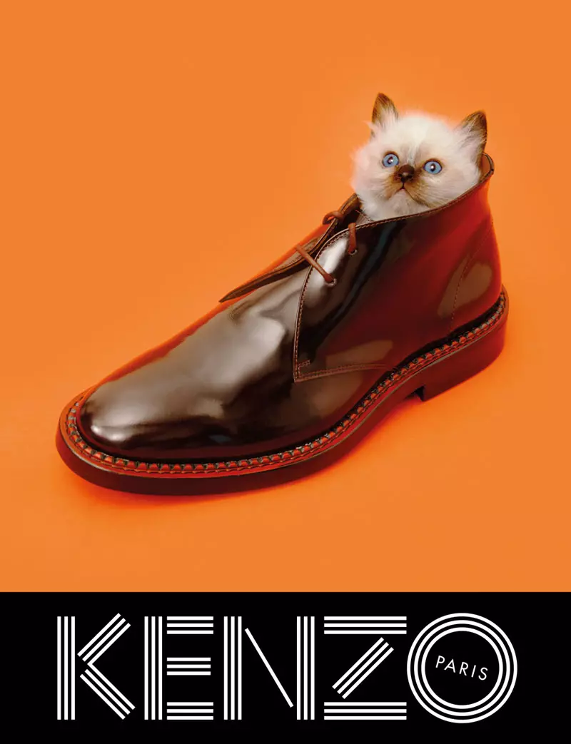 Kenzo Embraces Fantasy for Fall 2013 แคมเปญกับ Rinko Kikuchi