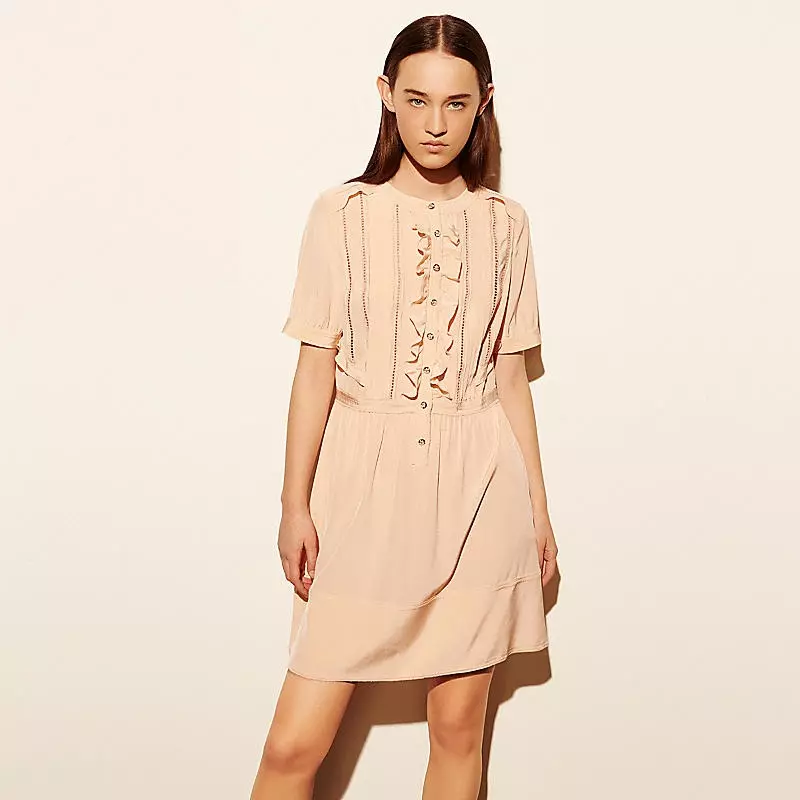 Silk Silk Ruffle Dress