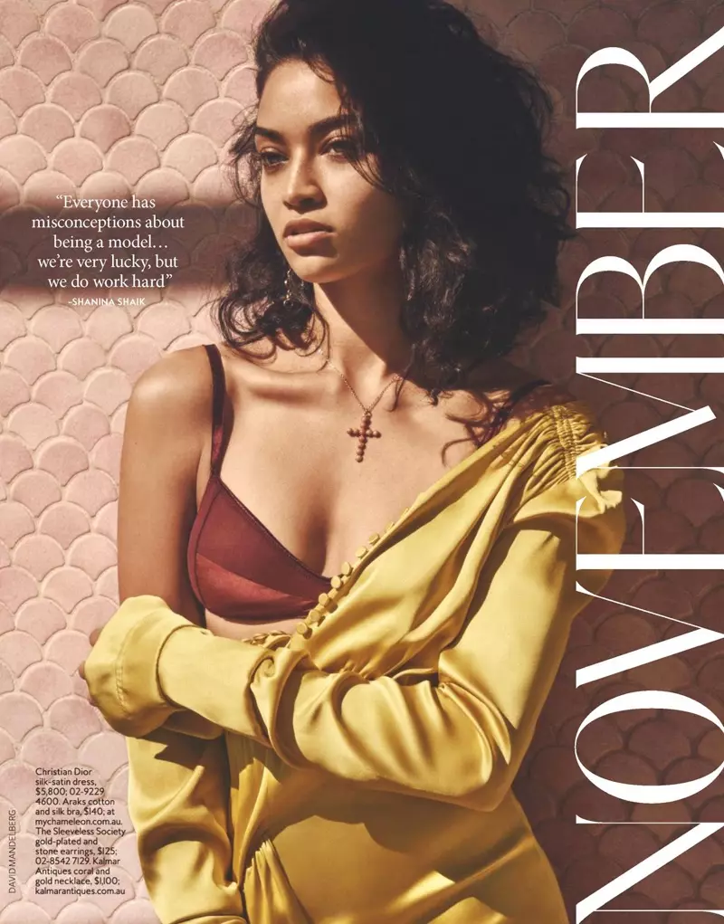 Shanina Shaik stiller med litt hud og poserer i Christian Dior-kjole med Araks-bh