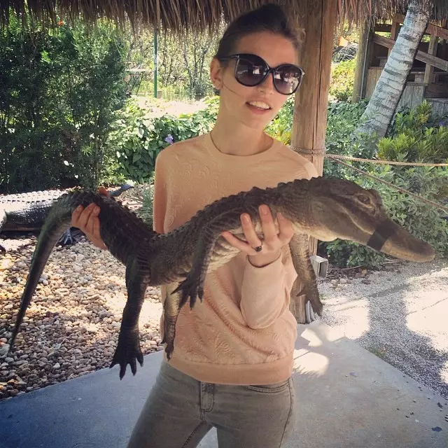 Karlina Caune robi zdjęcie z aligatorem