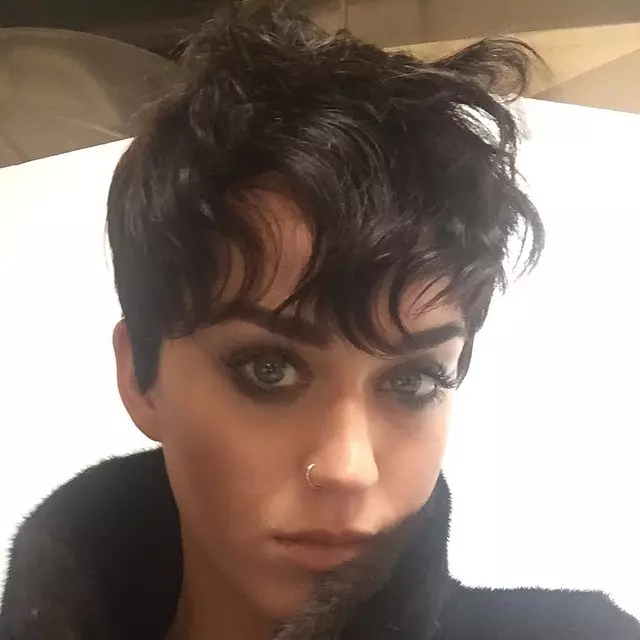 I 2015 delte Katy Perry et bilde av en kort nisse-hårklipp på Instagram. Det korte håret var for hennes utseende i Moschinos høstkampanje 2015.