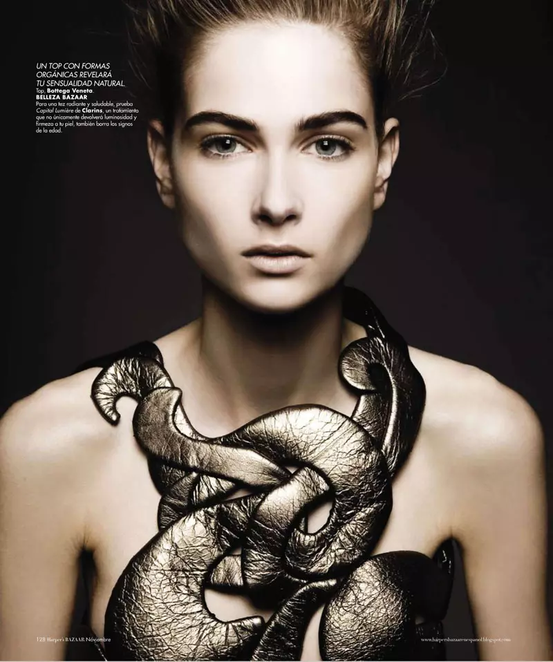 Bo Don d'Alexander Neumann pour Harper's Bazaar Mexico novembre 2010