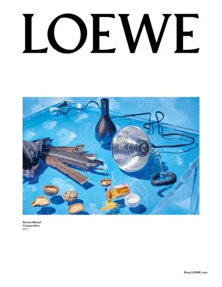 Loewe's Fall 2017 मोहिमेतील Gisele Bundchen चे आणखी फोटो पहा