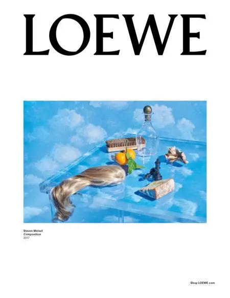 Вижте още снимки на Жизел Бюндхен в есенната кампания на Loewe за 2017 г