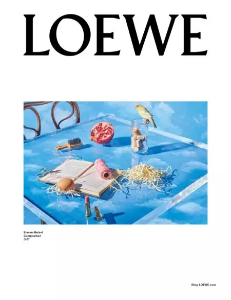 查看 Gisele Bundchen 在 Loewe 2017 秋季广告系列中的更多照片