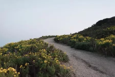 J Brand ji bo Koleksiyona Montauk Blues Diçe Deryayê