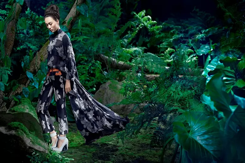 Tuairisceáin Shu Pei le haghaidh Fógraí Fall 2013 Vera Wang