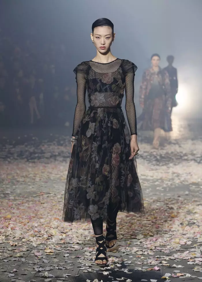 Dior | Frühjahr / Sommer 2019 | Runway