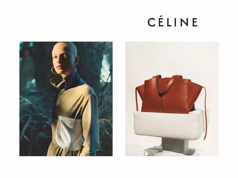 فريڊريڪي صوفي ستارا Celine جي زوال کان اڳ 2016 جي مهم ۾