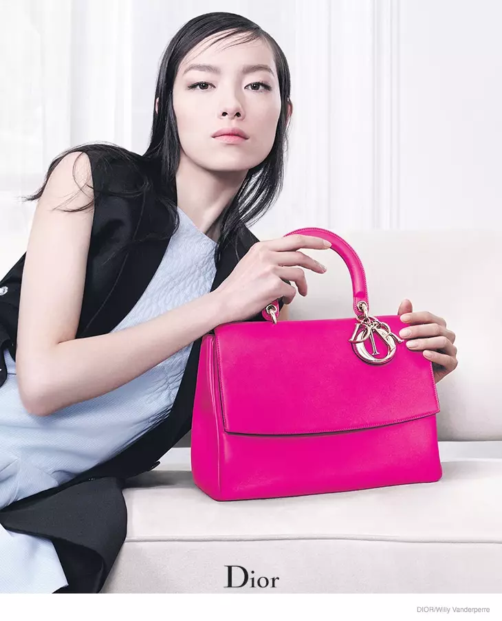 Dior Accessories Fall / Winter 2014 Kampanya Reklamê