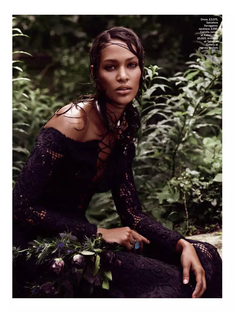 Joan Smalls ແມ່ນ Divine ໃນສີດໍາສໍາລັບວາລະສານ Stylist