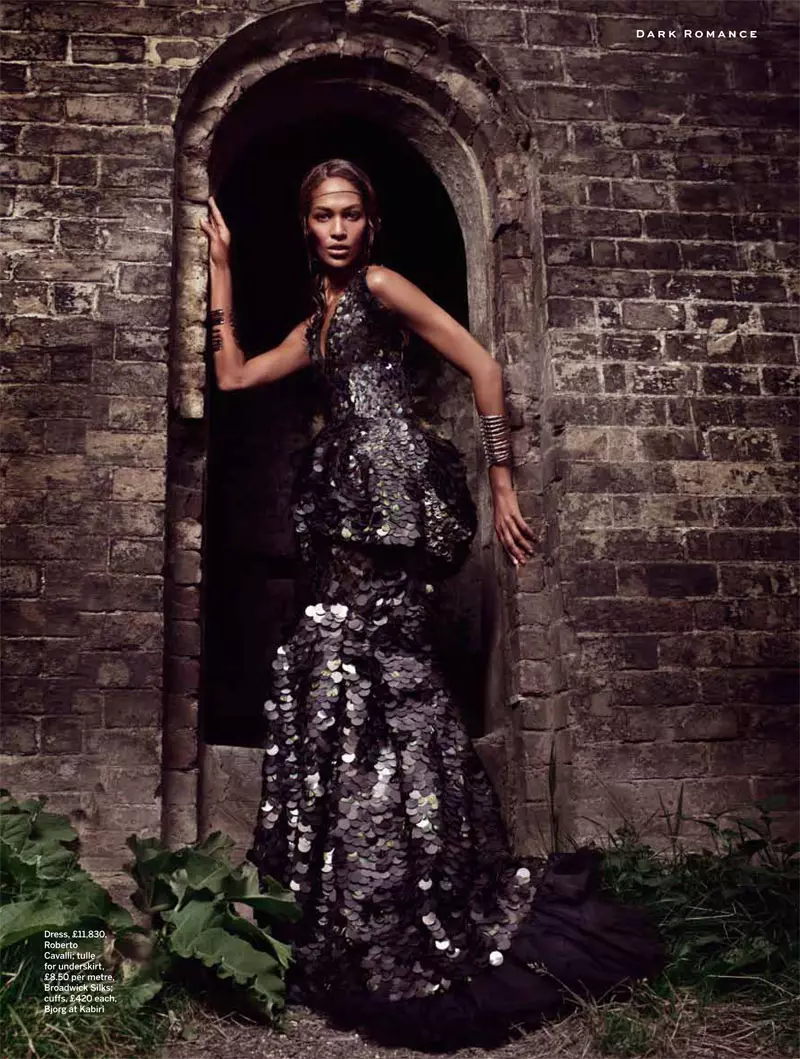 Joan Smalls ndi Divine in Black for Stylist Magazine