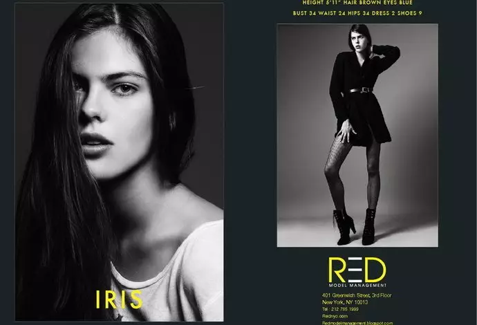 Пакет Red New York Spring/Summer 2012 Show Package