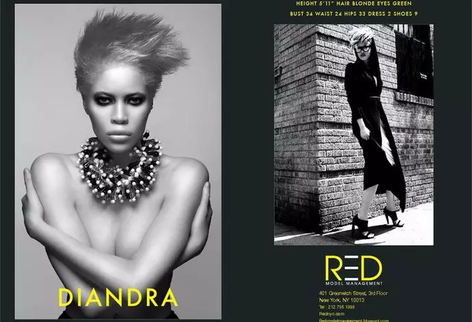 Red New York Spring/Summer 2012 Show Package