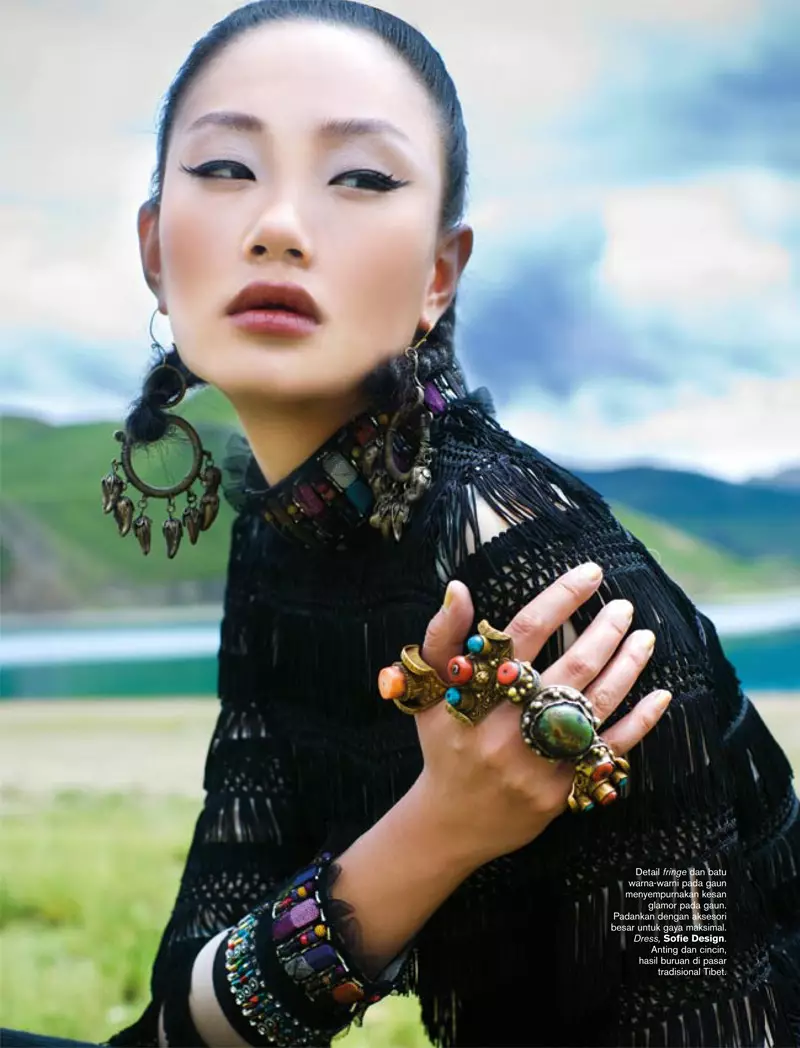 Zhang Fan עבור Harper's Bazaar אינדונזיה נובמבר 2010 מאת Nicoline Patricia Malina