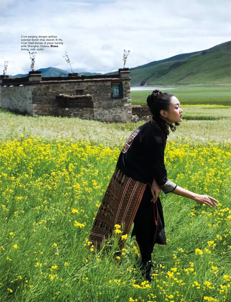 Zhang Fan pentru Harper's Bazaar Indonezia noiembrie 2010 de Nicoline Patricia Malina