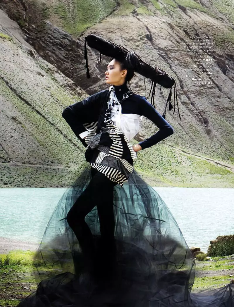 Zhang Fan para sa Harper's Bazaar Indonesia Nobyembre 2010 ni Nicoline Patricia Malina