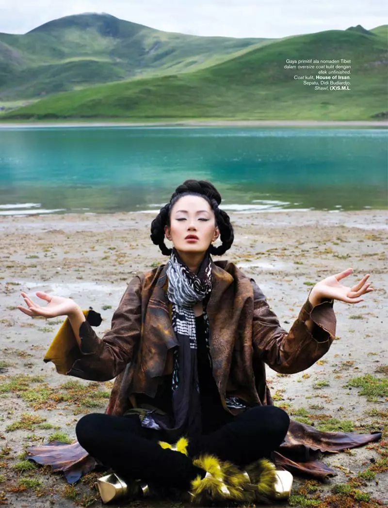 Zhang Fan για το Harper's Bazaar Indonesia Νοέμβριος 2010 από τη Nicoline Patricia Malina