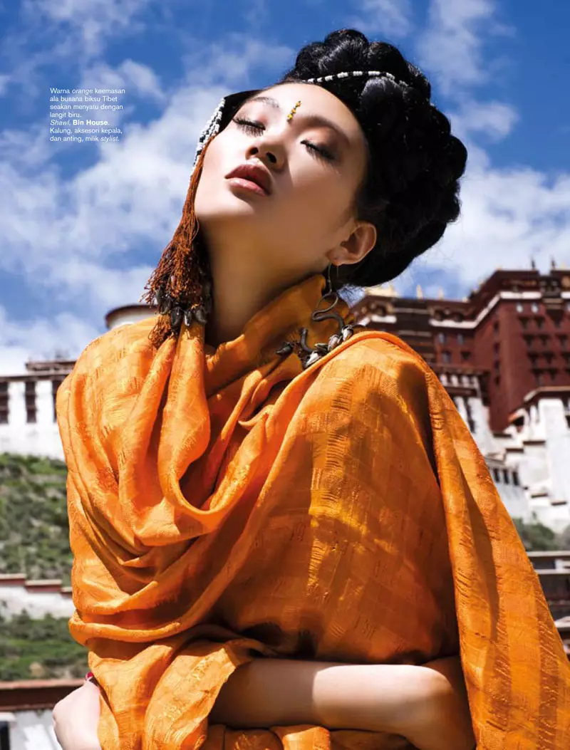 Zhang Fan cho Harper's Bazaar Indonesia tháng 11 năm 2010 bởi Nicoline Patricia Malina