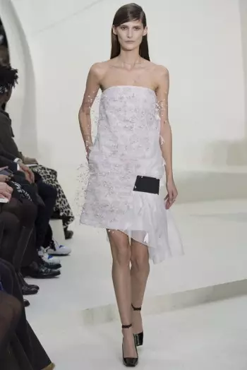 Dior Haute Couture بہار/موسم گرما 2014