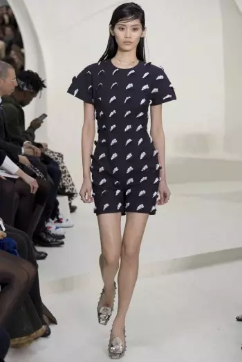 Dior Haute Couture Caij nplooj ntoos hlav/Lub caij ntuj sov 2014