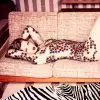 Lindsey Wixson is een Retro Babe voor Ellen von Unwerth in Vogue Russia