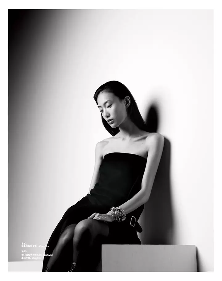 Shu Pei troch Xiang Sun foar SHC Magazine Winter 2011