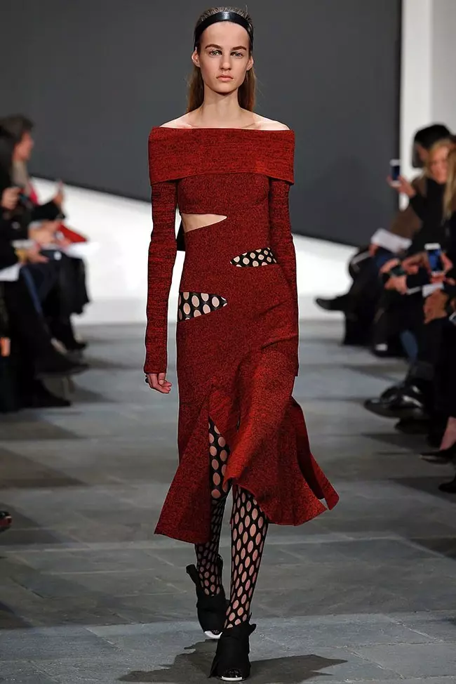 Proenza Schouler 2015 m. ruduo/žiema